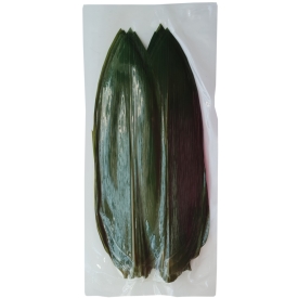Bamboo leaves, fresh, 28-32cm, 100 pcs